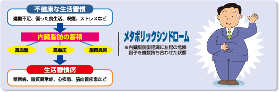 イラスト：不規則な生活習慣／内臓脂肪の蓄積／生活習慣病